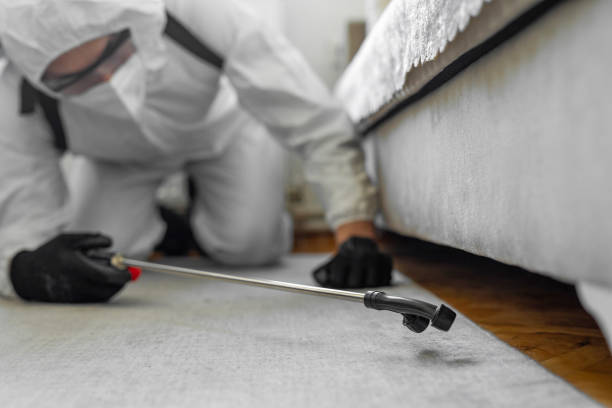 Professional Termite Control technician working in Brockway, PA