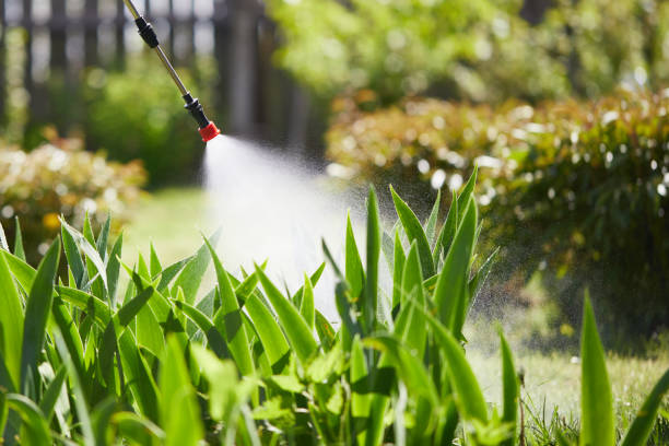 24/7 Emergency Termite Control experts in Brockway, PA