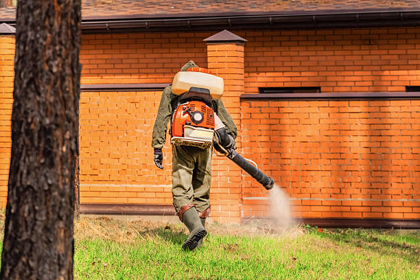 Trusted Termite Control service in Brockway, PA - Nex Pest Control